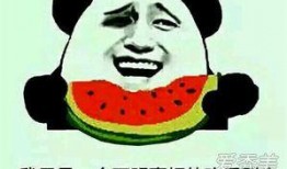 朝陽吃瓜群眾什么意思,網絡熱詞背后的社會現象