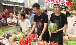 北京朝陽吃瓜,瓜界風云錄，美食地圖大揭秘