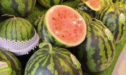 每日吃瓜,輕松掌握娛樂圈新鮮事