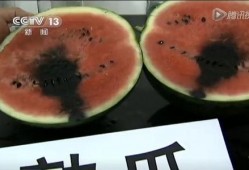 52吃瓜爆料免費吃瓜視頻,免費暢享熱門吃瓜視頻盛宴