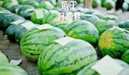 熱門大瓜每日大賽,揭秘娛樂(lè)圈最新爆料，大賽精彩瞬間回顧
