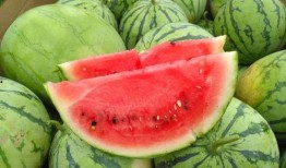 今日吃瓜熱門大瓜每日更新,緊跟熱門大瓜，揭秘娛樂圈最新動態