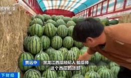 熱點(diǎn)吃瓜,吃瓜群眾如何解讀明星事件