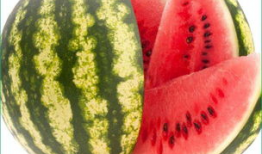 每日吃瓜,輕松掌握娛樂(lè)圈新鮮事