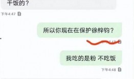 吃瓜炸裂聊天記錄視頻,揭秘視頻背后的驚人真相