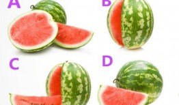 52每日大瓜視頻,揭秘娛樂圈幕后故事，帶你領略明星真實生活