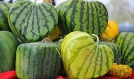 吃瓜大瓜事件,揭秘網(wǎng)絡(luò)輿論狂歡背后的真相