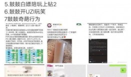 黑料索引,揭開(kāi)網(wǎng)絡(luò)謠言背后的真相