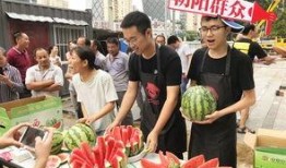 51朝陽吃瓜群眾,揭秘吃瓜群眾的幕后故事