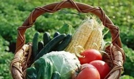 體育圈的天花板 51今日吃瓜大瓜fun 吃瓜視頻在線,今日吃瓜大瓜fun，獨家視頻揭秘精彩瞬間