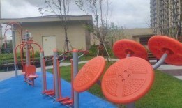 體育圈是干凈的嗎,純凈競技還是暗流涌動？