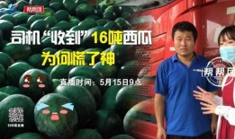 今日吃瓜爆料,娛樂圈最新猛料大揭秘！