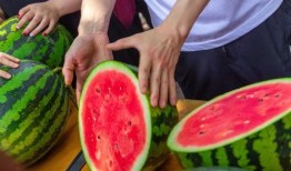 今日吃瓜,揭秘娛樂圈最新熱點(diǎn)事件