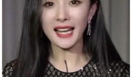 明星黑料女,明星黑料背后的真相與反思